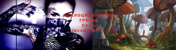 мдпв Вяземский