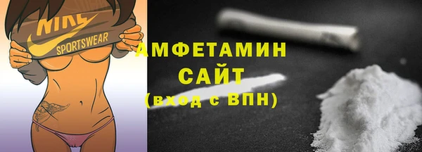мдпв Вяземский