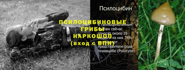 ALPHA-PVP Ростов