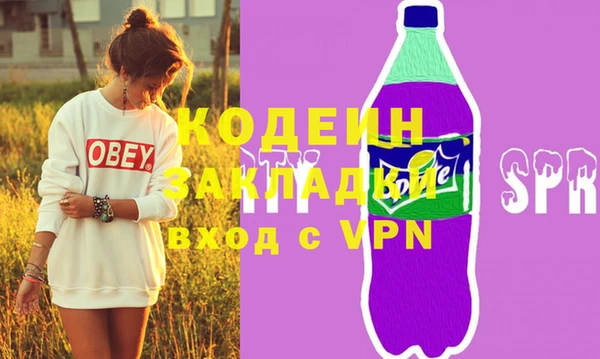 мдпв Вяземский