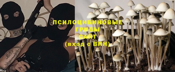 индика Волоколамск