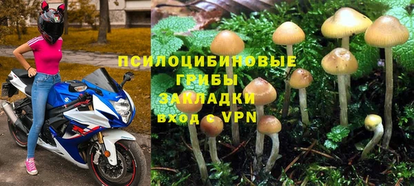 амф Вязьма