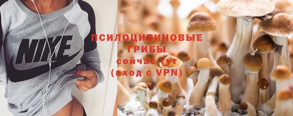 мдпв Вяземский