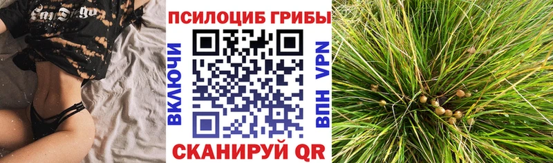 гидра как войти  Славянск-на-Кубани  Галлюциногенные грибы мухоморы  где купить наркоту 