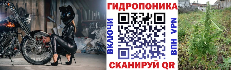 продажа наркотиков Славянск-на-Кубани МАРИХУАНА OG Kush
